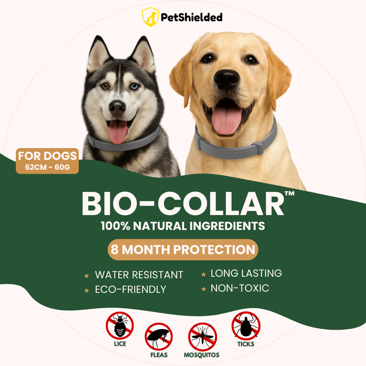 Collare antizanzare per animali domestici Collare repellente per insetti regolabile per cani e gatti Forniture per animali domestici