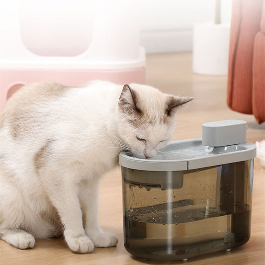 Abbeveratoio automatico per gatti e animali domestici