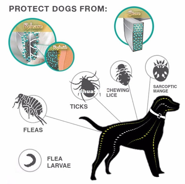 Collare antipulci e zecche di alta qualità