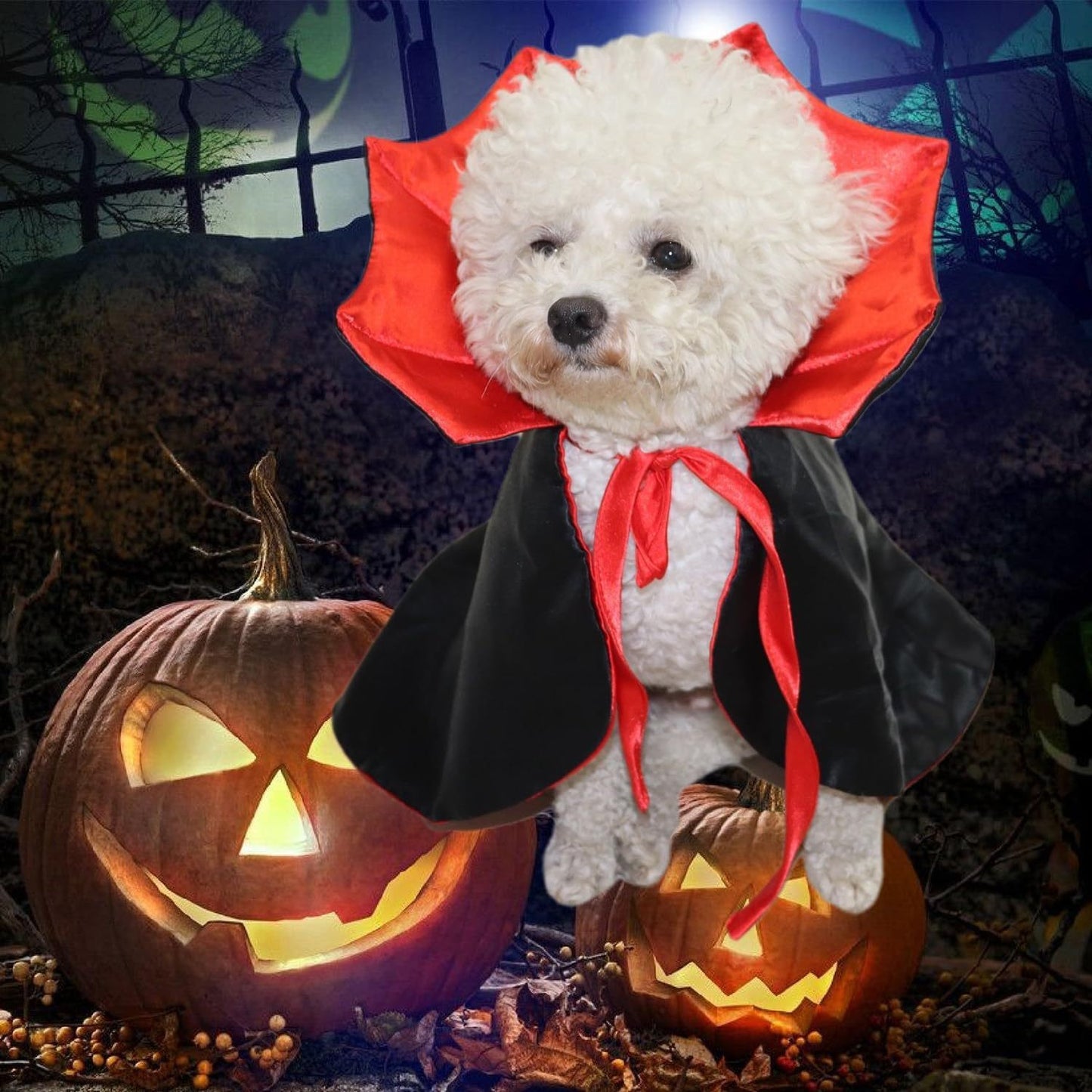 Simpatici costumi per animali di Halloween Cosplay
