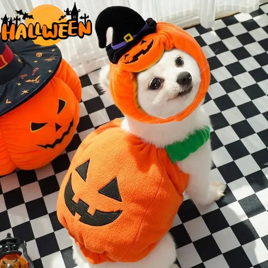 Gilet di zucca di Halloween per cani e gatti