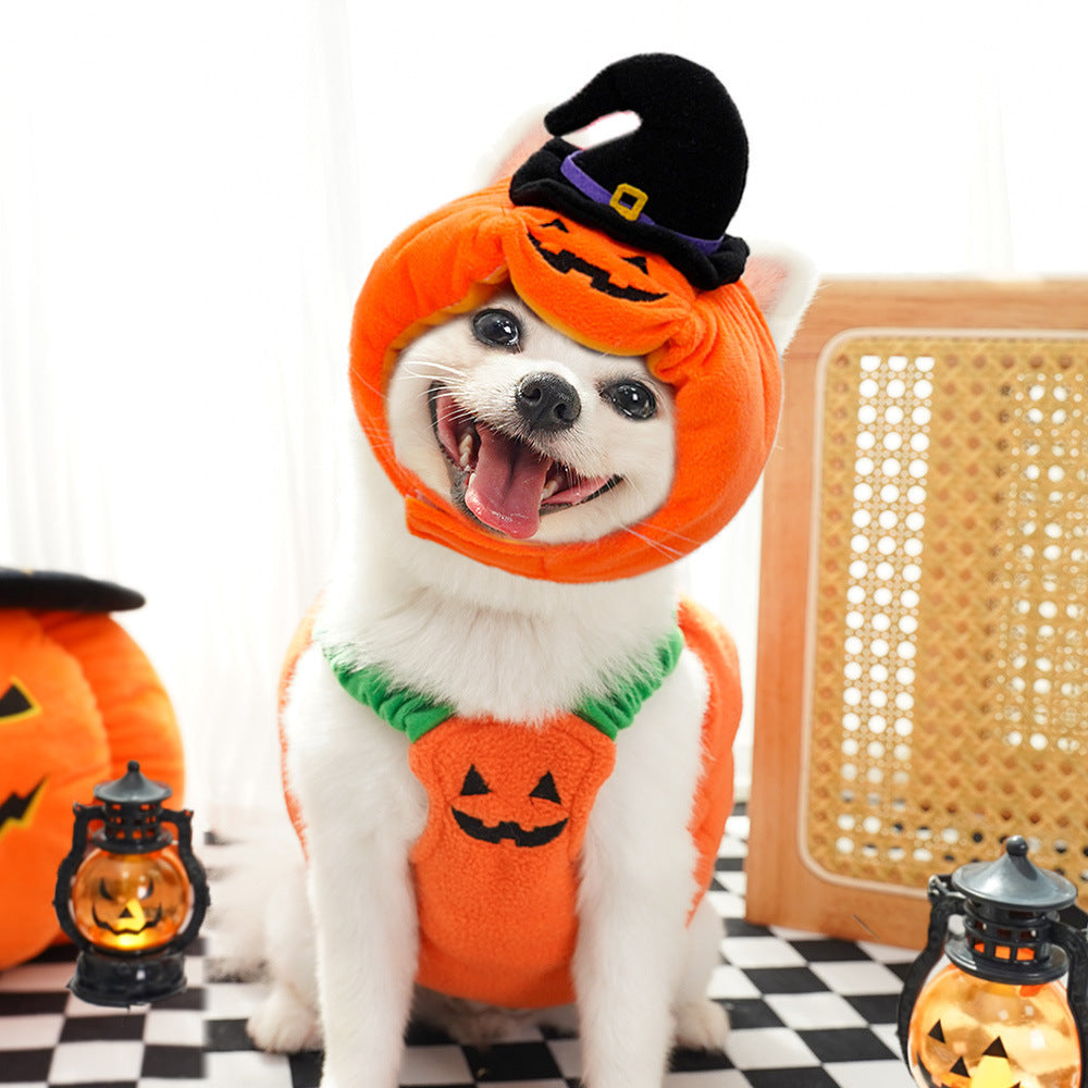 Gilet di zucca di Halloween per cani e gatti