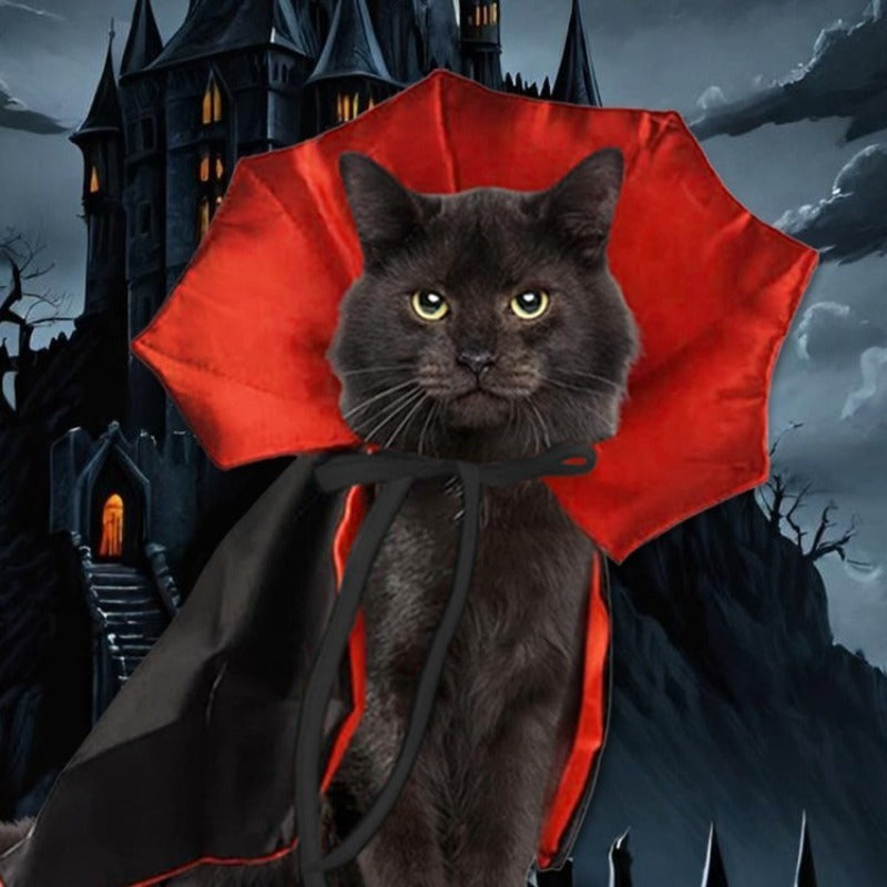 Simpatici costumi per animali di Halloween Cosplay