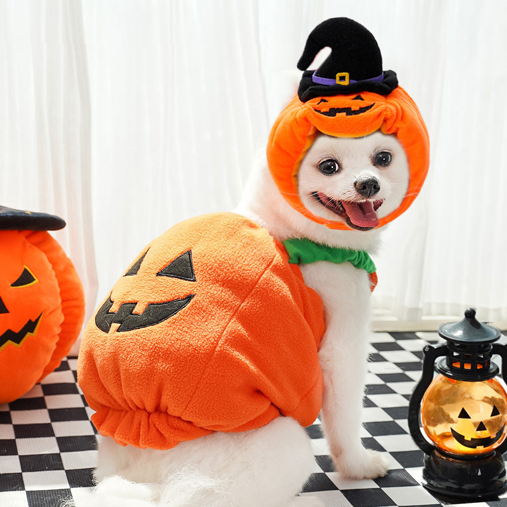 Gilet di zucca di Halloween per cani e gatti