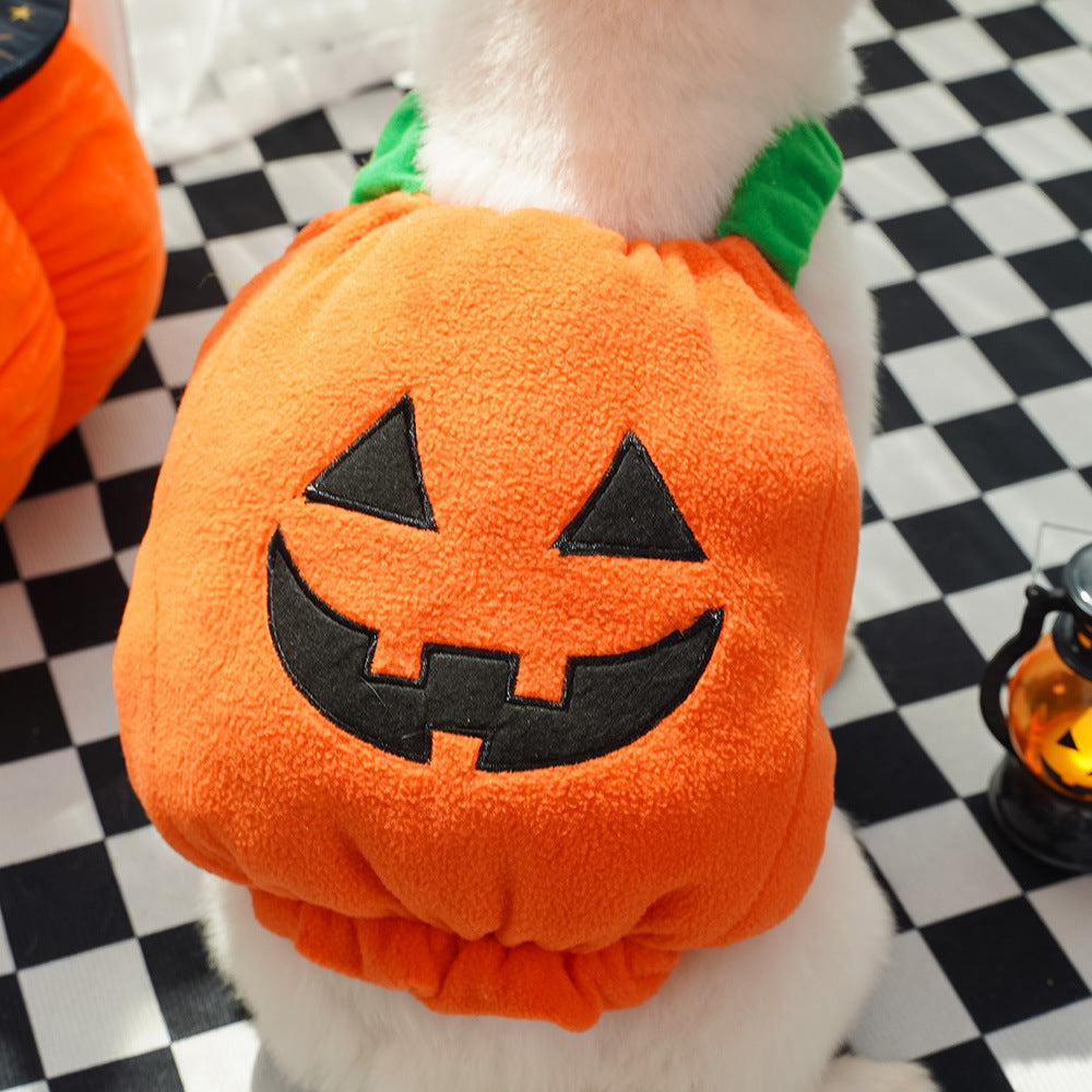 Gilet di zucca di Halloween per cani e gatti