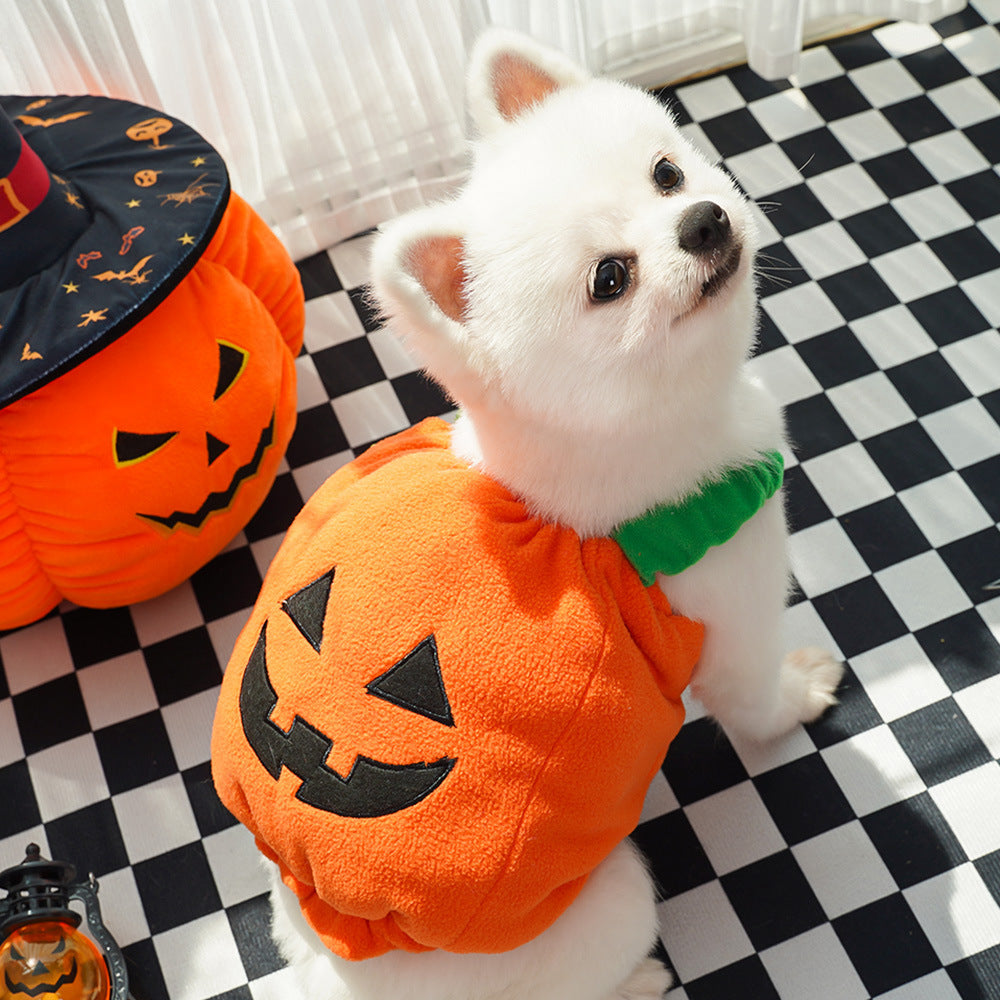 Gilet di zucca di Halloween per cani e gatti