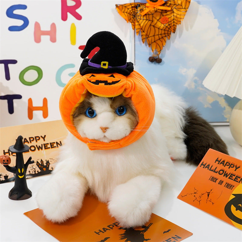 Gilet di zucca di Halloween per cani e gatti