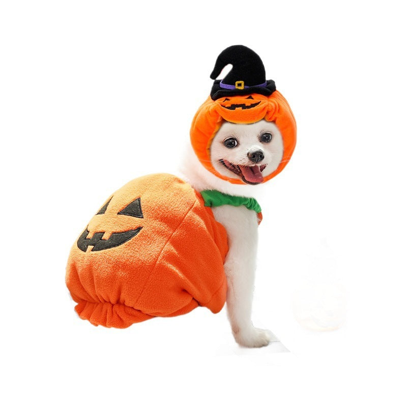 Gilet di zucca di Halloween per cani e gatti