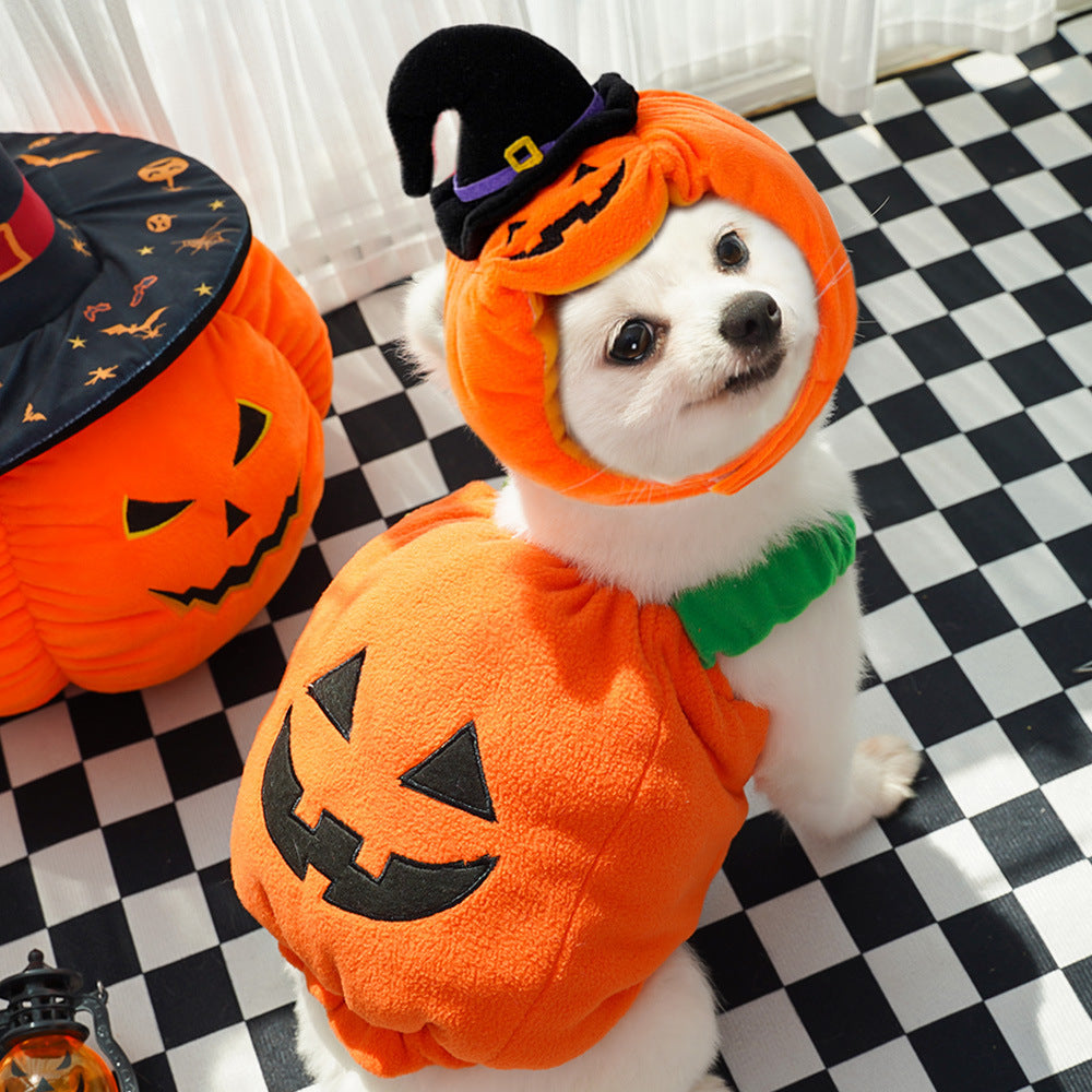 Gilet di zucca di Halloween per cani e gatti